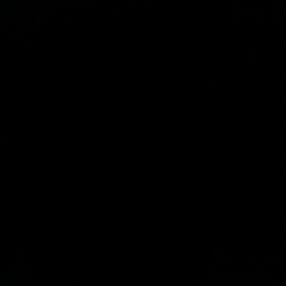 Meet your Posher, Adrienne - Picture 1 of 1